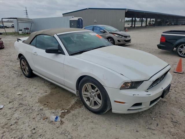 Ford Mustang Image 3