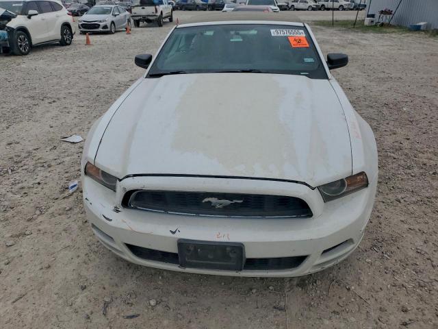 Ford Mustang Image 5