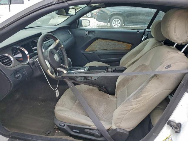 Ford Mustang Image 11