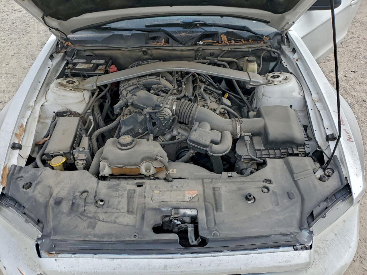 Ford Mustang Image 12