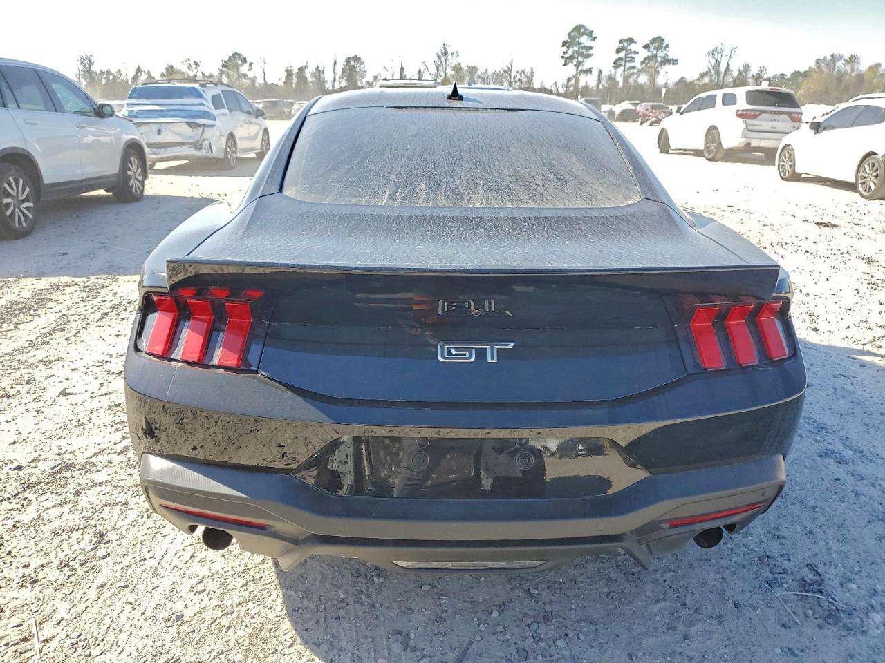 Ford Mustang Gt Image 3